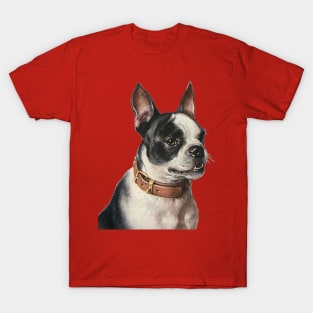 Cute Vintage Boston Terrier Dog with Collar T-Shirt